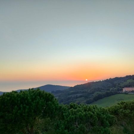 Vista Sulle Isole Dell'Arcipelago Toscano Nibbiaia Szoba fotó